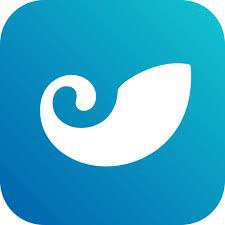 token钱包app官网